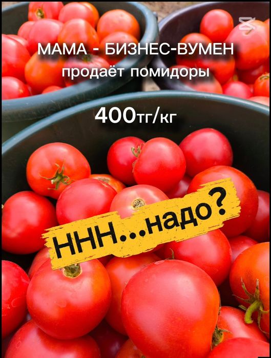 Продам помидоры дачные
