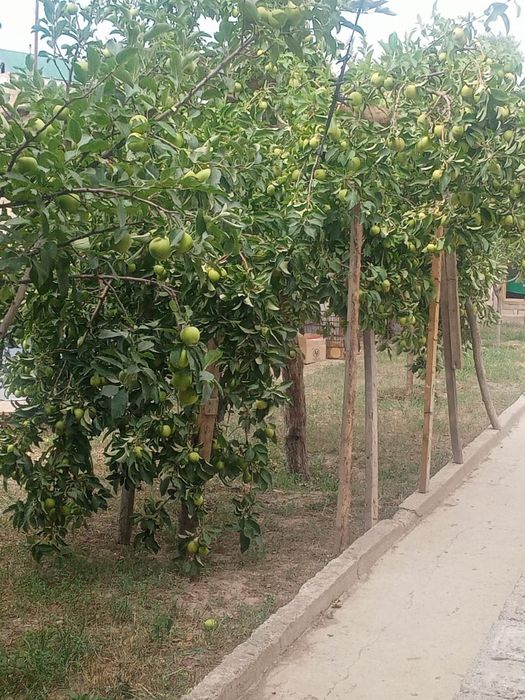 Срочно продам дом - дача