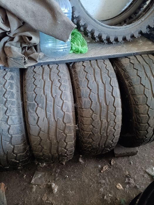 Шины шипованные.