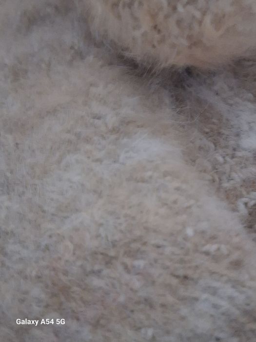 Носки из собачьей шерсти 100%