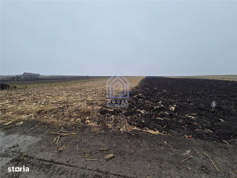 Teren intravilan Moara Carp - zona Ponoare