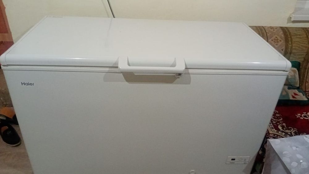 Моразильник моразильник