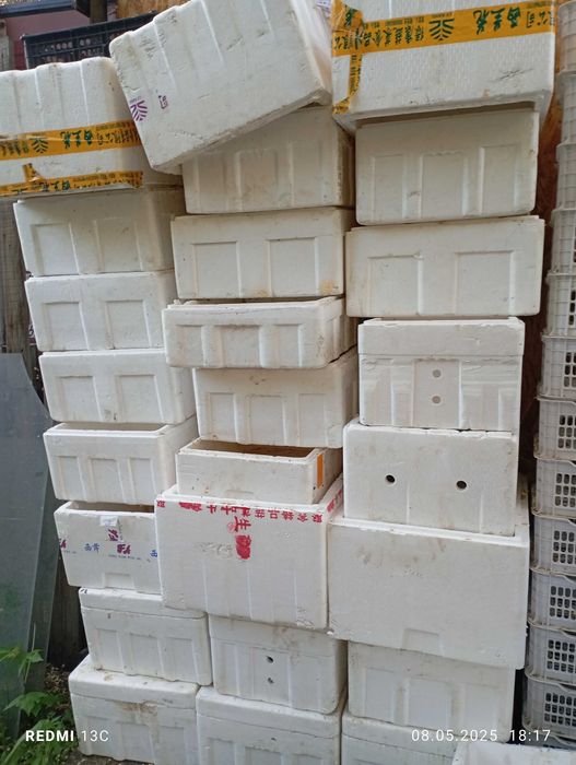 Ящики пласмасовые