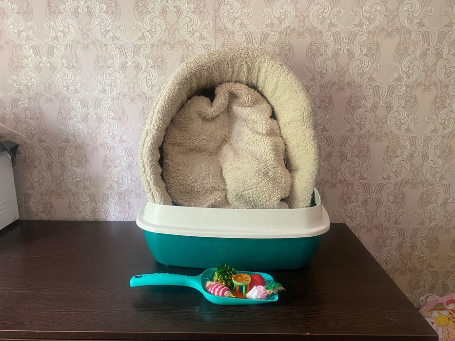 Туалет лоток для кошек кошки лежанка кота игрушки лопатка