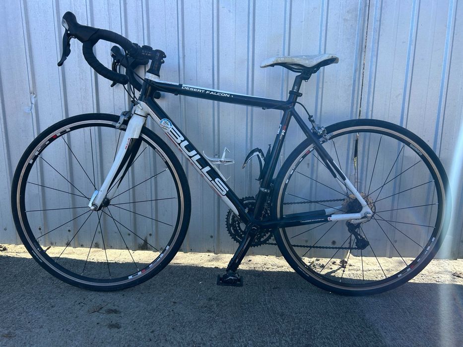 Cursiera Bulls Desert Falcon 1