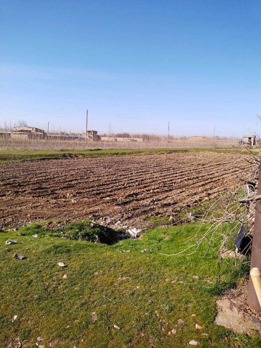 Продается дачный участок Dacha sotiladi