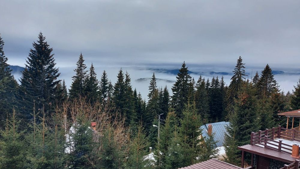 Cazare Rânca (aproape de pârtia M1)