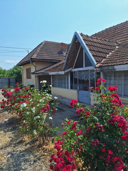 Vand casa în com. Bălești, sat Cornestii Noi