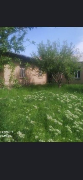 Hovli uy joy sotiladi Bulungʻur gʻalabada