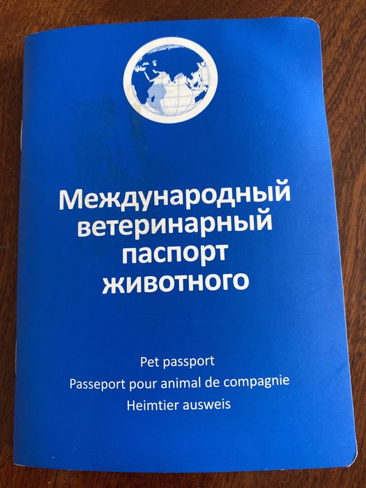 Продаю щенка добермана