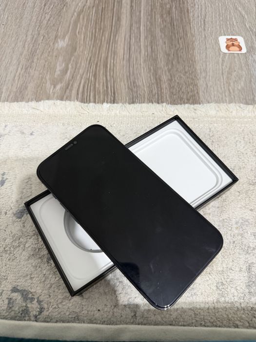 Iphone 12 pro max
