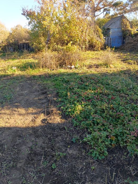 Продам Дачу в хорошо состоянии