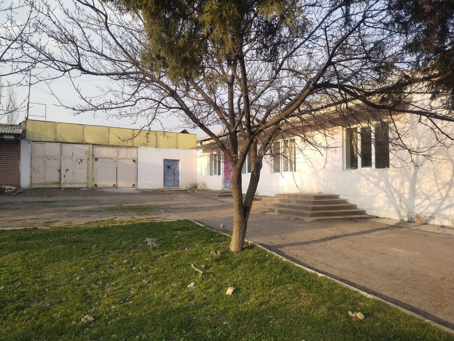 Хар кандай максад учун Бино