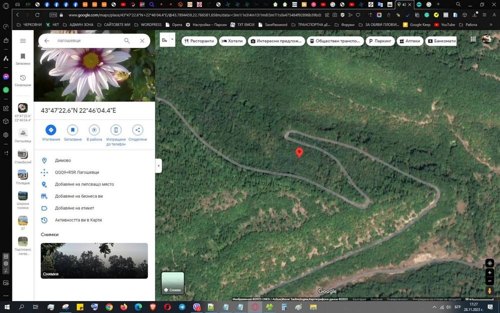 Продава гора Димово Видин