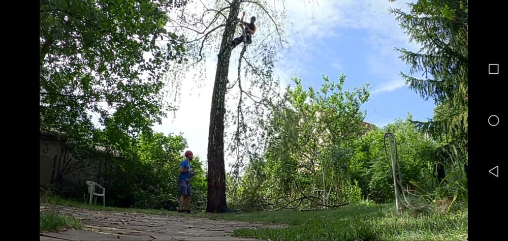 Пилим валим деревья очищяем поля и Т. Д
