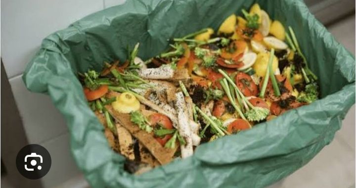 Пищевые отходы еды