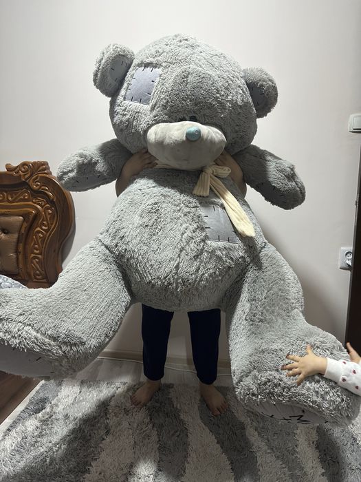 Tedy argnal yeggi sotladi