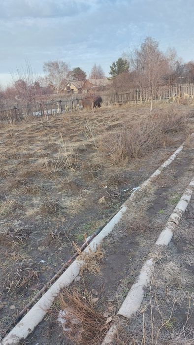 Продам дачу сад здоровье