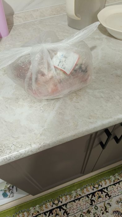 Тамақ қалдықтары (пищевые отходы))