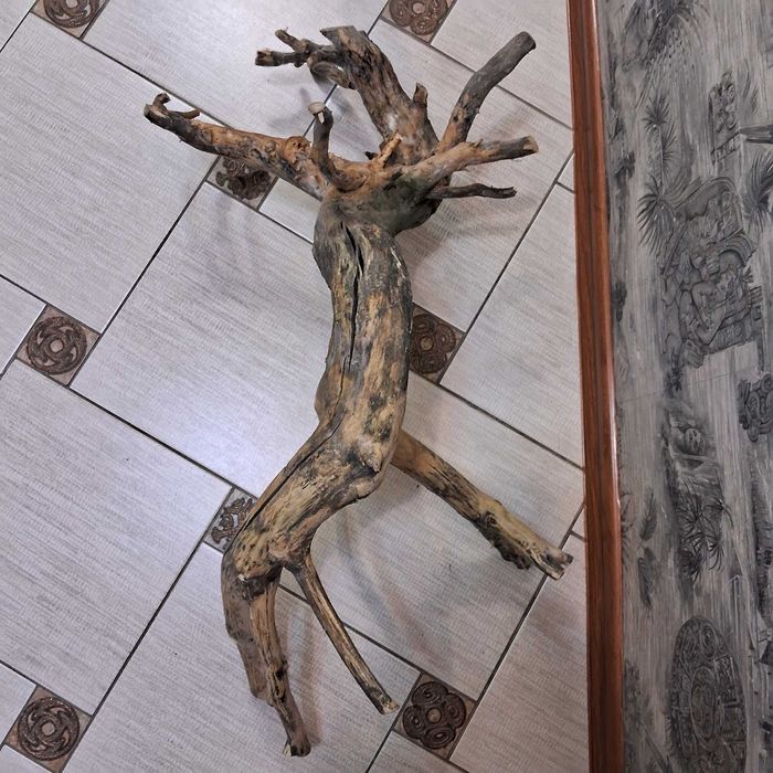 Коряга в аквариум