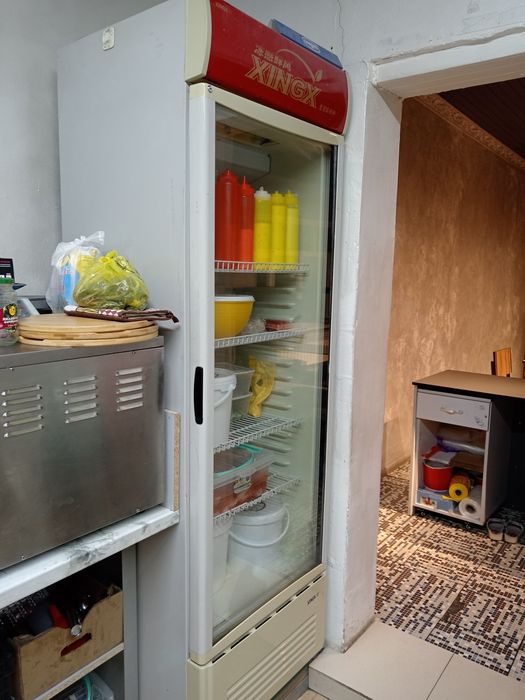 Пицца печь двух дверный