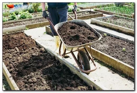 Перегной .Доставка.