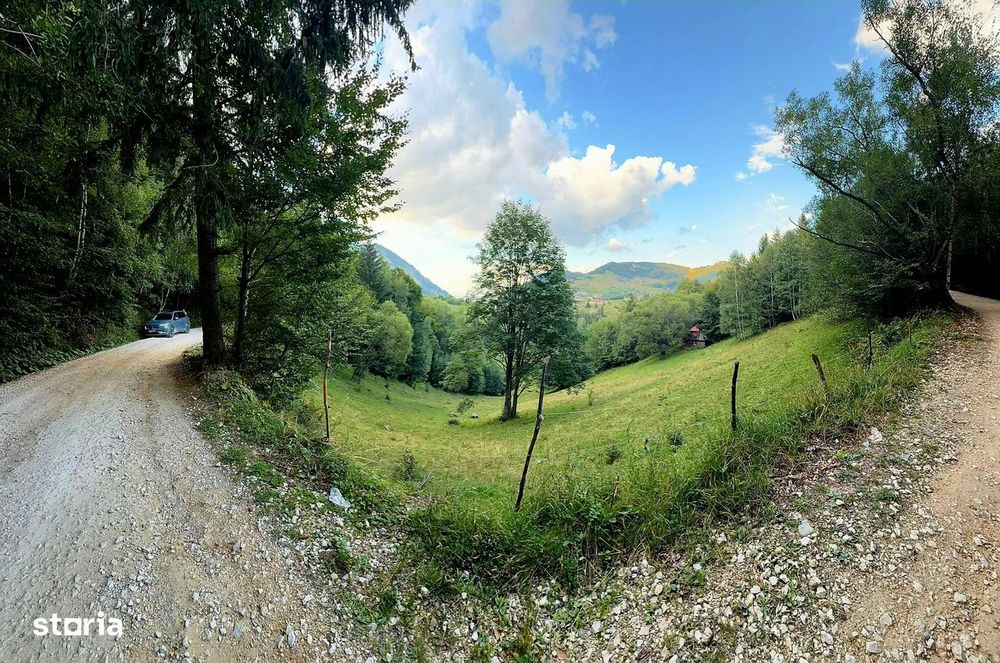 Teren investitie 8635 mp extravilan , Pestera Brasov
