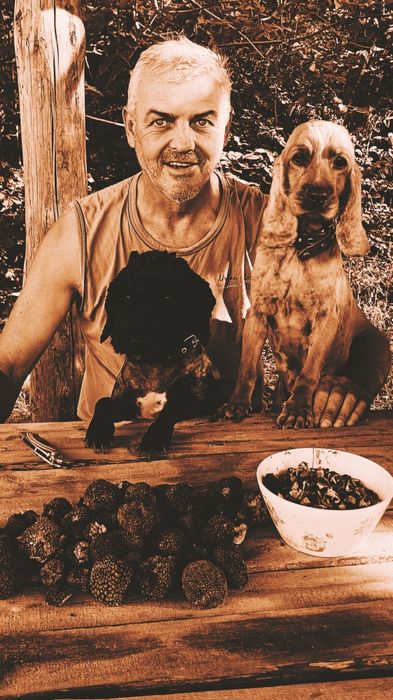 Кучета за трюфели - ОБУЧЕНИ