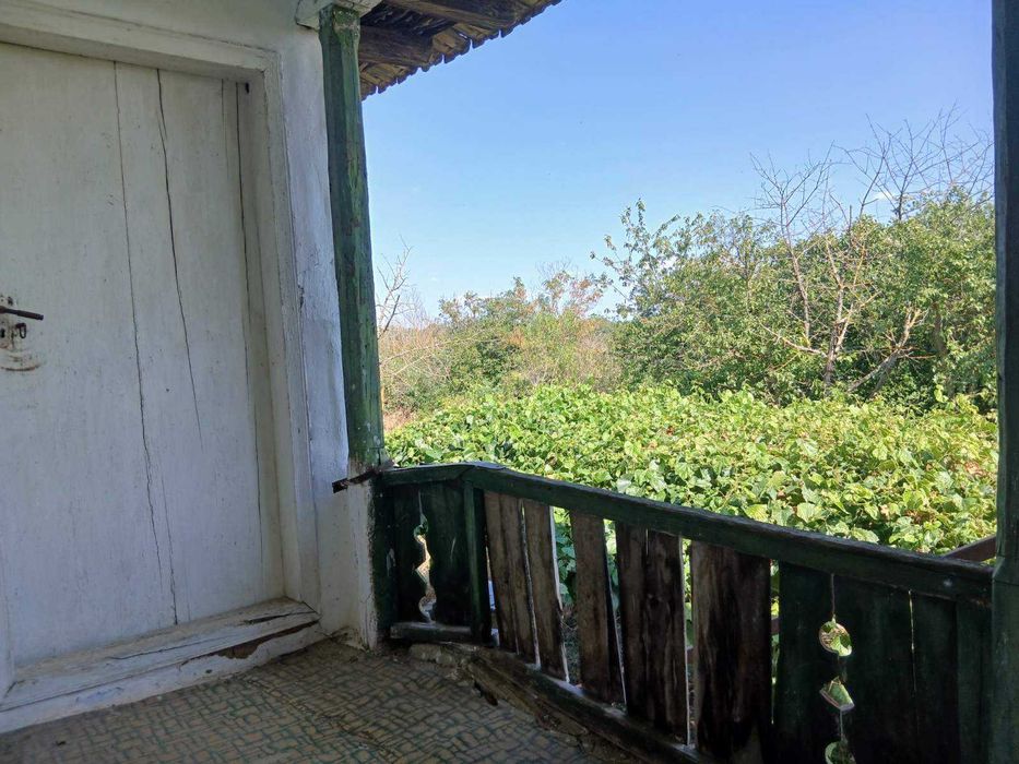 Къща с 2 декара двор, в село Кривня, обл.Варна