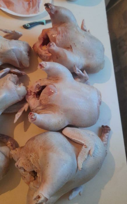 Куры бройлеры домашние мясо
