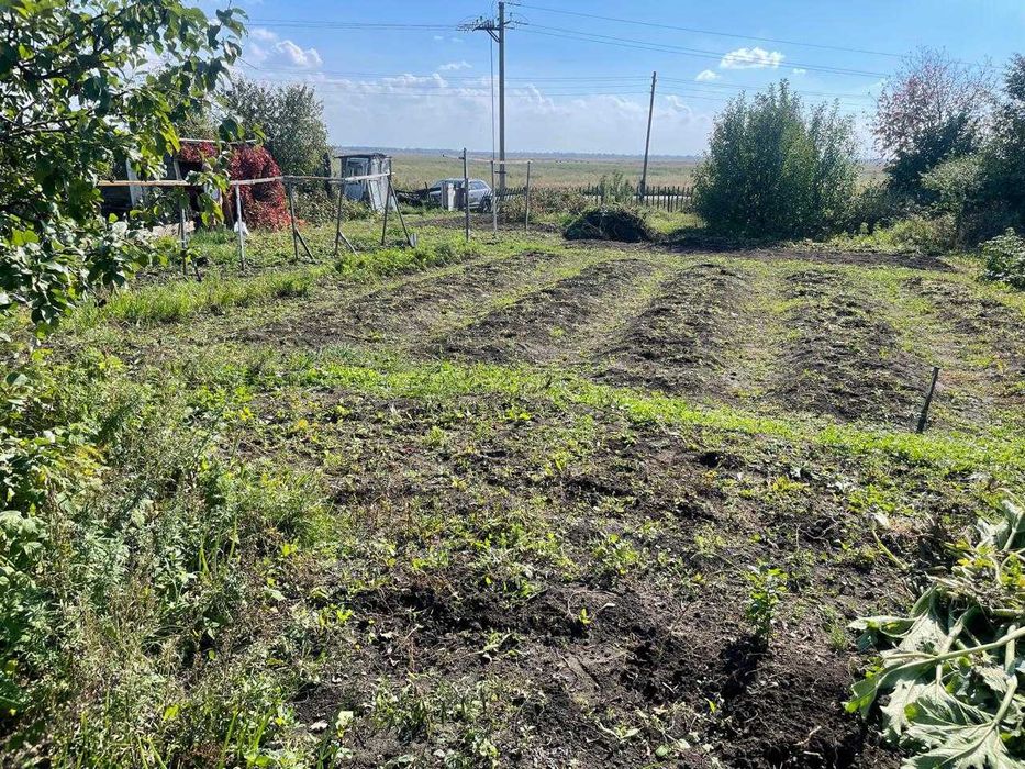 Дачный участок в СО "Ромашка"