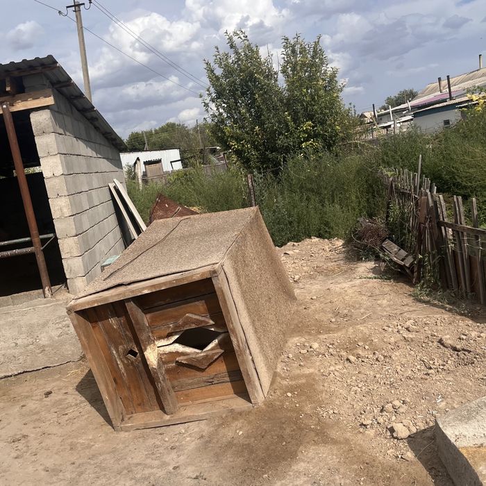 Туалет бесплатно отдам
