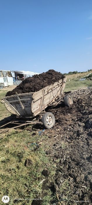 Vând  rănită pt solare