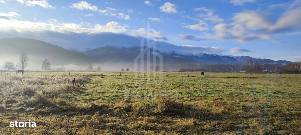 Teren intravilan de vânzare | Valea Avrigului-Porumbacu de Jos
