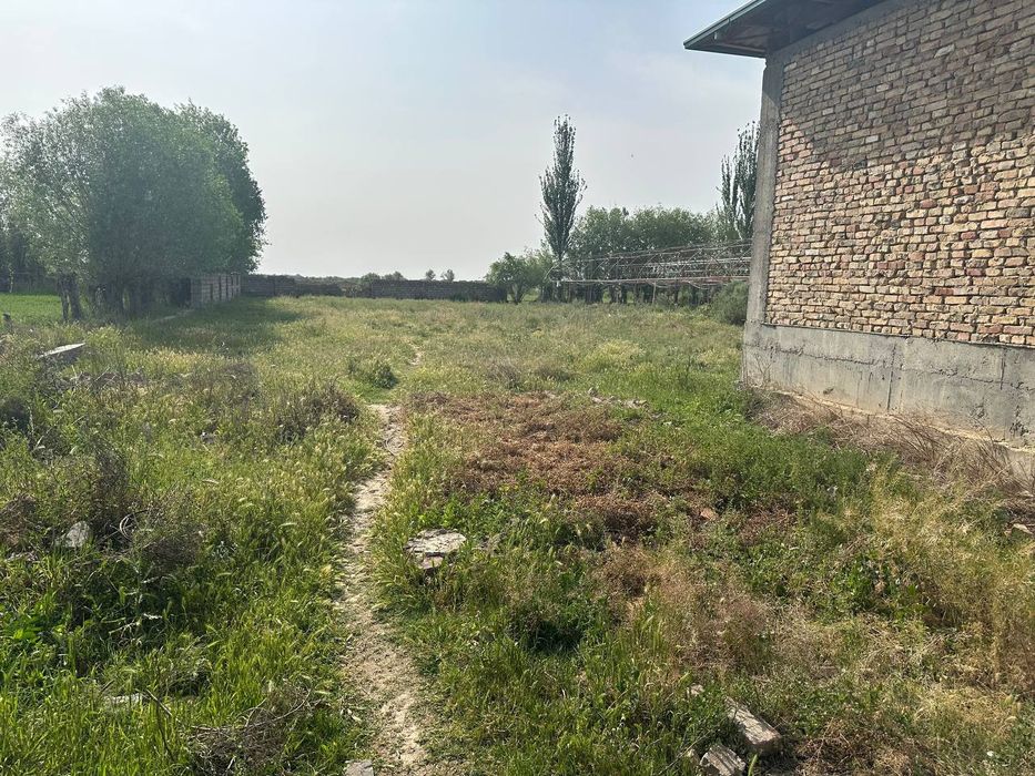 Курили туганланмаган учаска сотиоади 18 сотигли