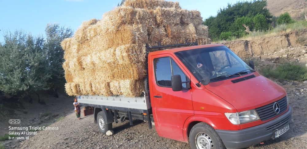 Samon press bugdoyniki