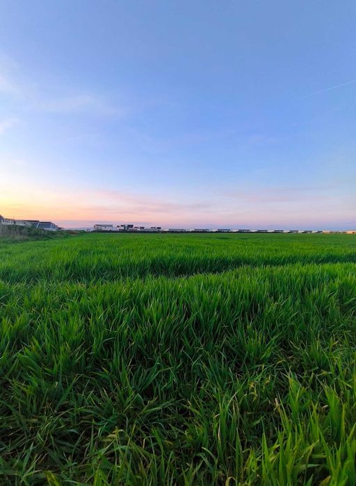 TEREN DE VANZARE 4.9 Hectare