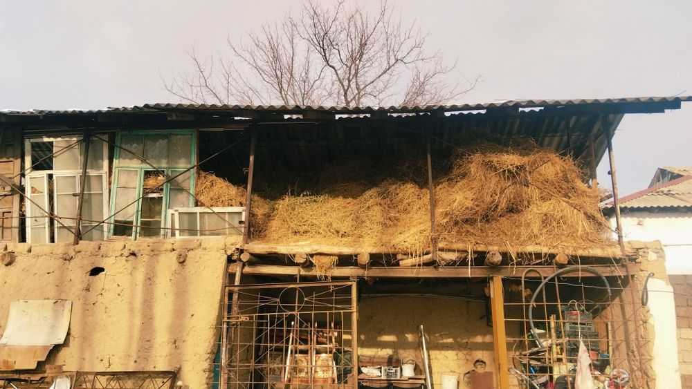 Oladiganlar tel qisin beda