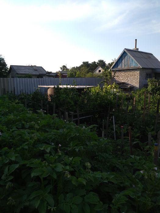 Продам участок с домом, Сосновый бор