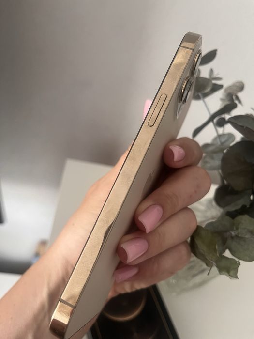 Iphone 12 Pro max 256