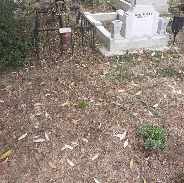 Loc de veci - Cimitirul Ghencea 2 | Aleea principala