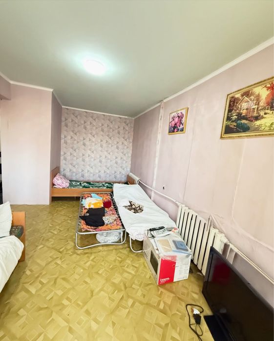 Зеленый бор. Сарыарка 10