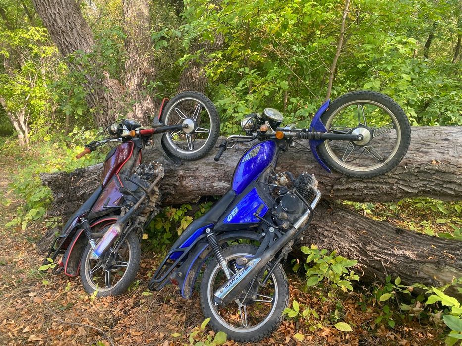 Альфа рейсер 110 см³