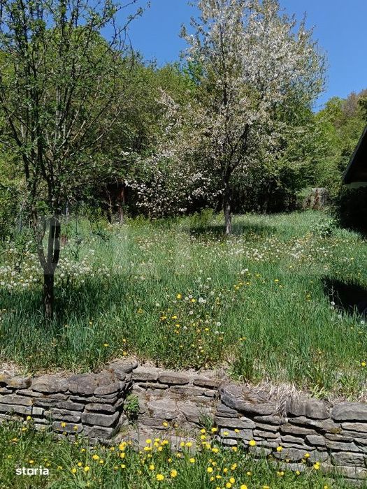 Cabana ta la munte – Oaza de liniste la iesire din praid Praid spre