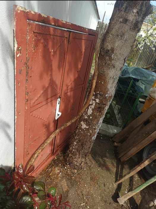 Vând ușă metalică cu ială