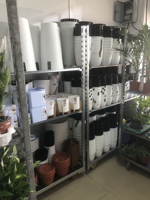 Цветы кашпо грунт оптом