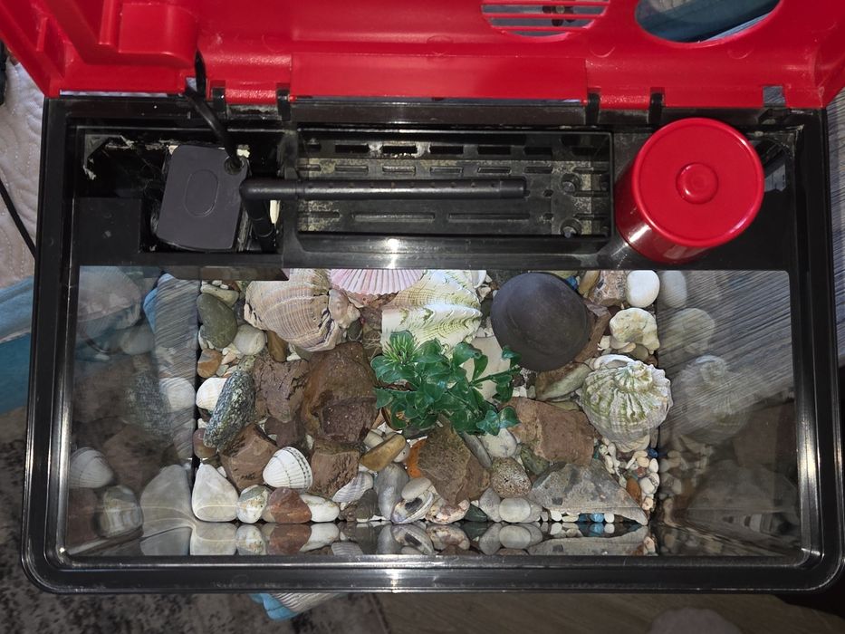 Аквариум 15 литров