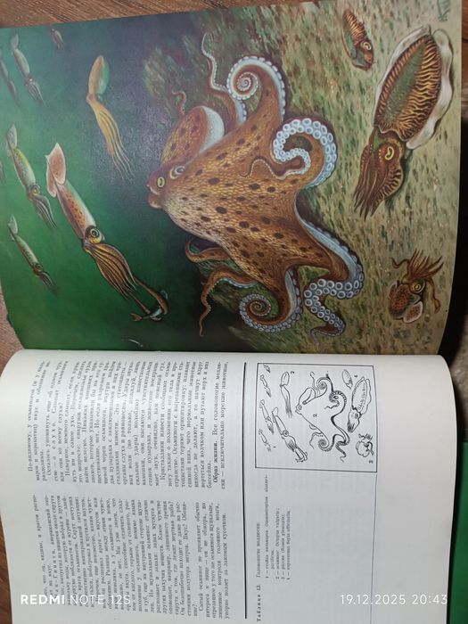 Книги Жизнь Животных 6томов