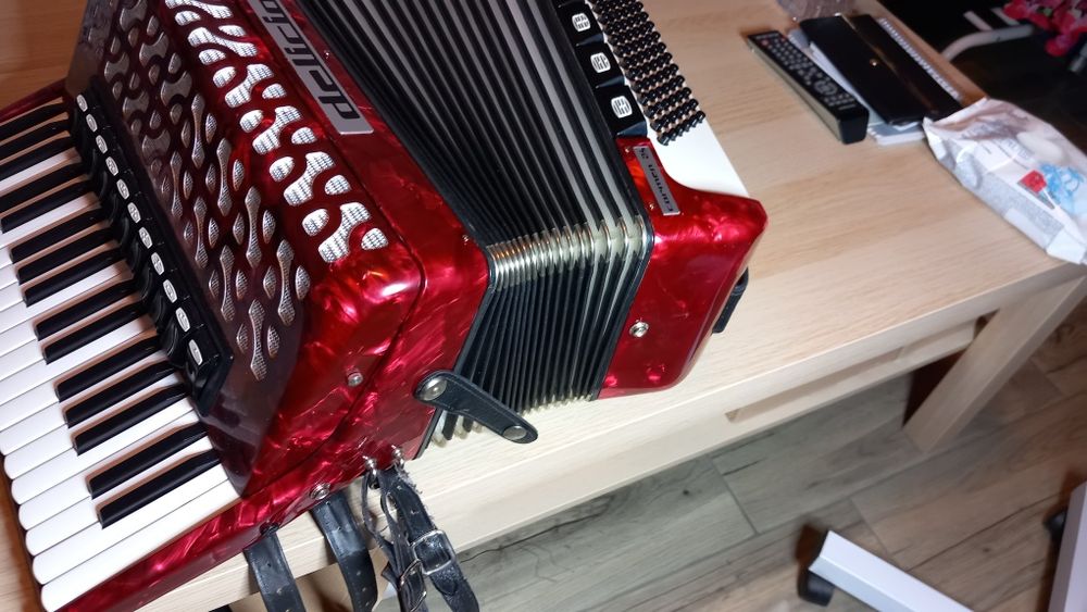 Acordeon DELICIA carmen 24 cu 96 basi
