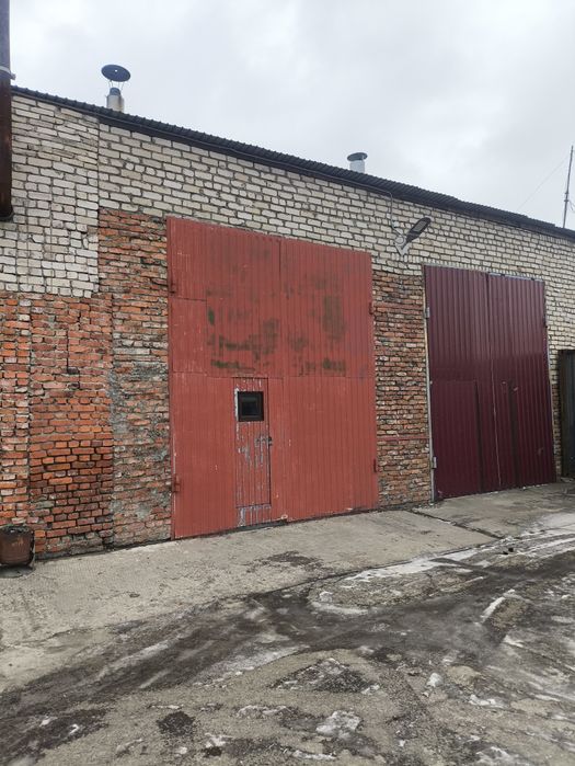 Сдам бокс в аренду